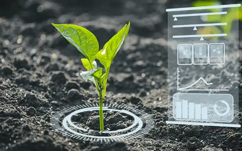 Application of artificial intelligence in agriculture